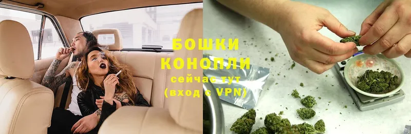 МАРИХУАНА SATIVA & INDICA  Короча 